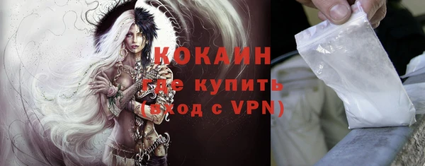 гидра Белокуриха