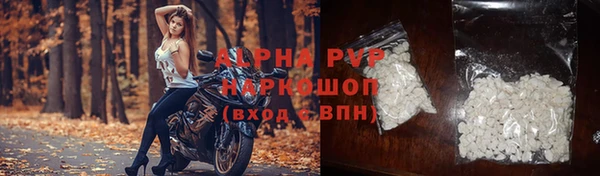 ECSTASY Михайлов