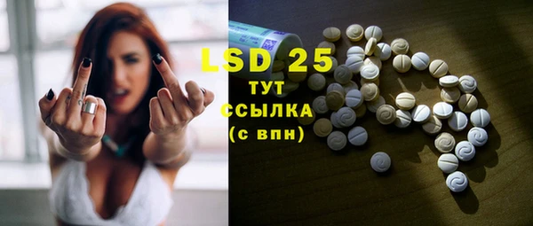 ECSTASY Михайлов