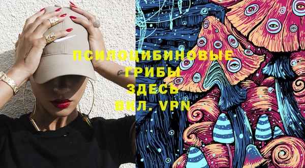 ECSTASY Михайлов